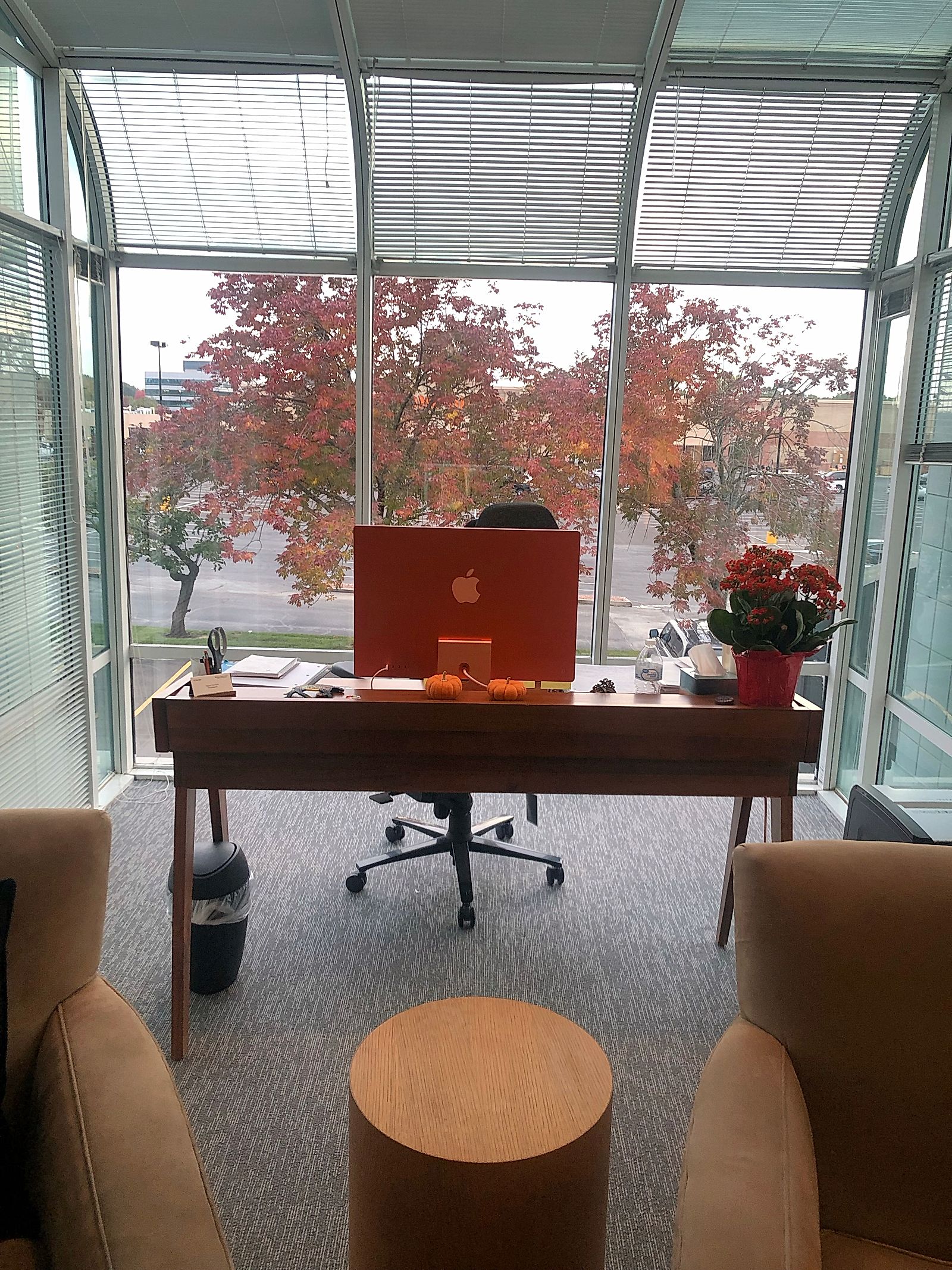 A view of our office in the atrium.